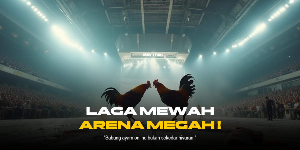 Mengenal Jenis Ayam Bangkok dalam Sabung Ayam SV388